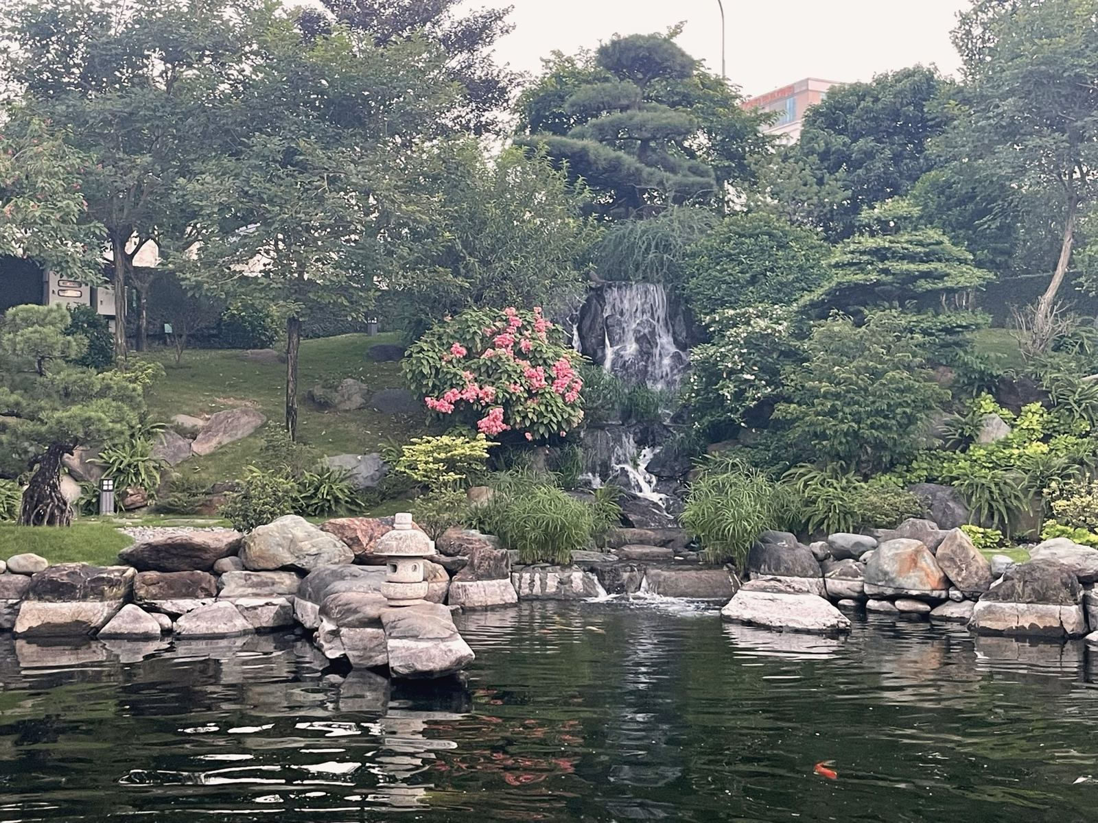 Thác nhỏ đổ xuống hồ cá
